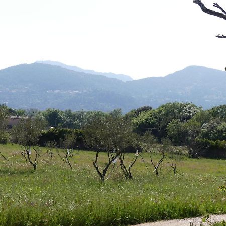 Le Charme D'Une Vieille Bastide Provencale Solliès-Pont Exteriör bild