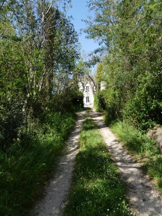 Le Charme D'Une Vieille Bastide Provencale Solliès-Pont Exteriör bild