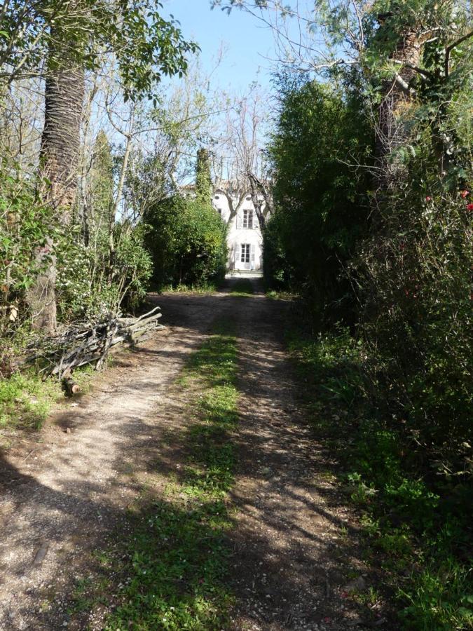 Le Charme D'Une Vieille Bastide Provencale Solliès-Pont Exteriör bild